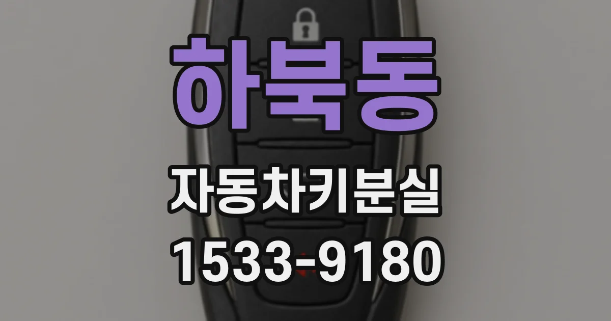 하북동 자동차키분실