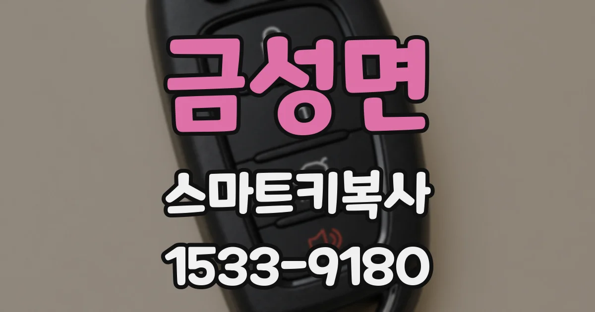 금성면 스마트키복사