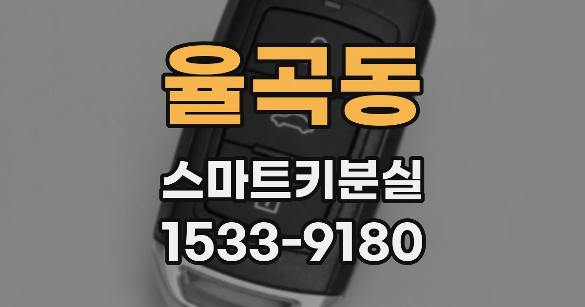 율곡동 스마트키분실
