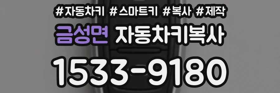 금성면 자동차키복사