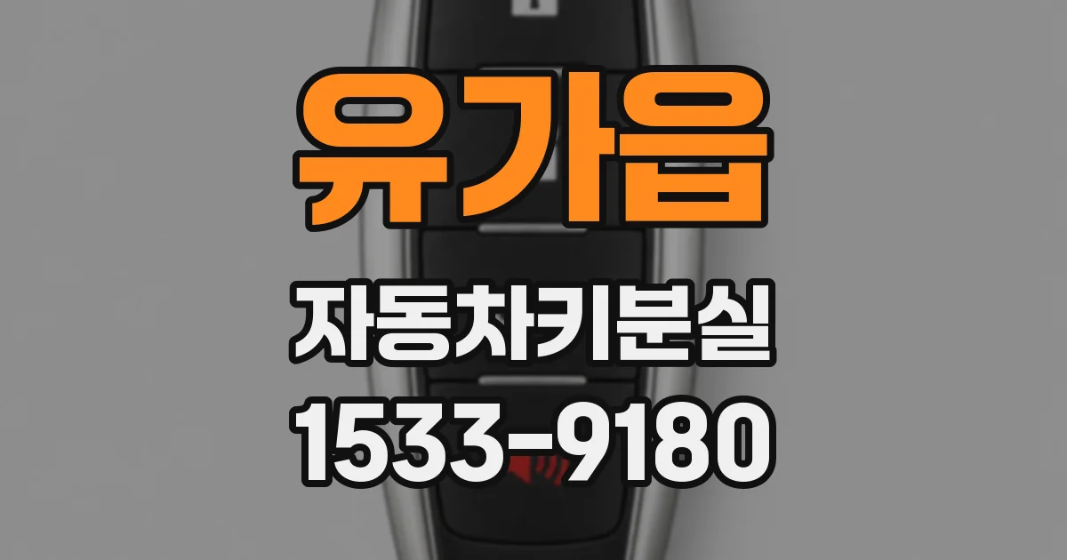 유가읍 자동차키분실