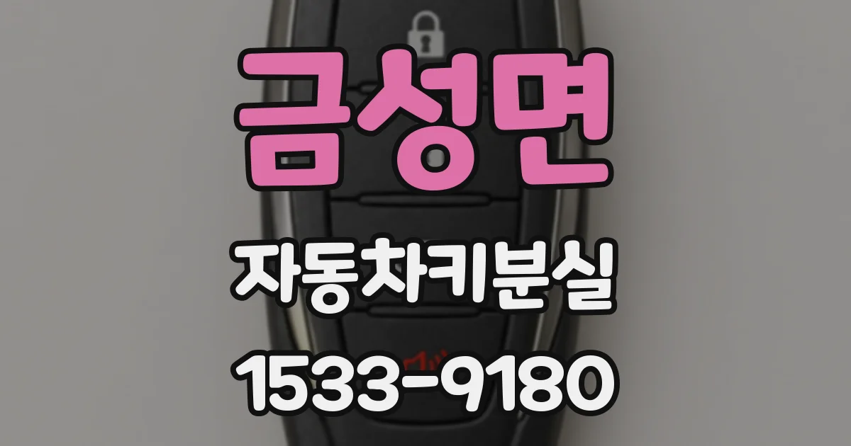 금성면 자동차키분실
