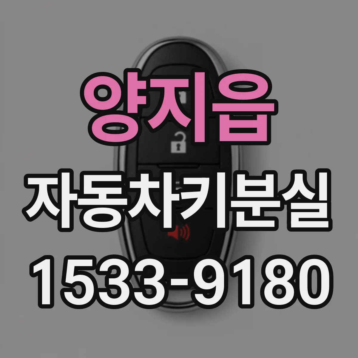 양지읍 자동차키분실