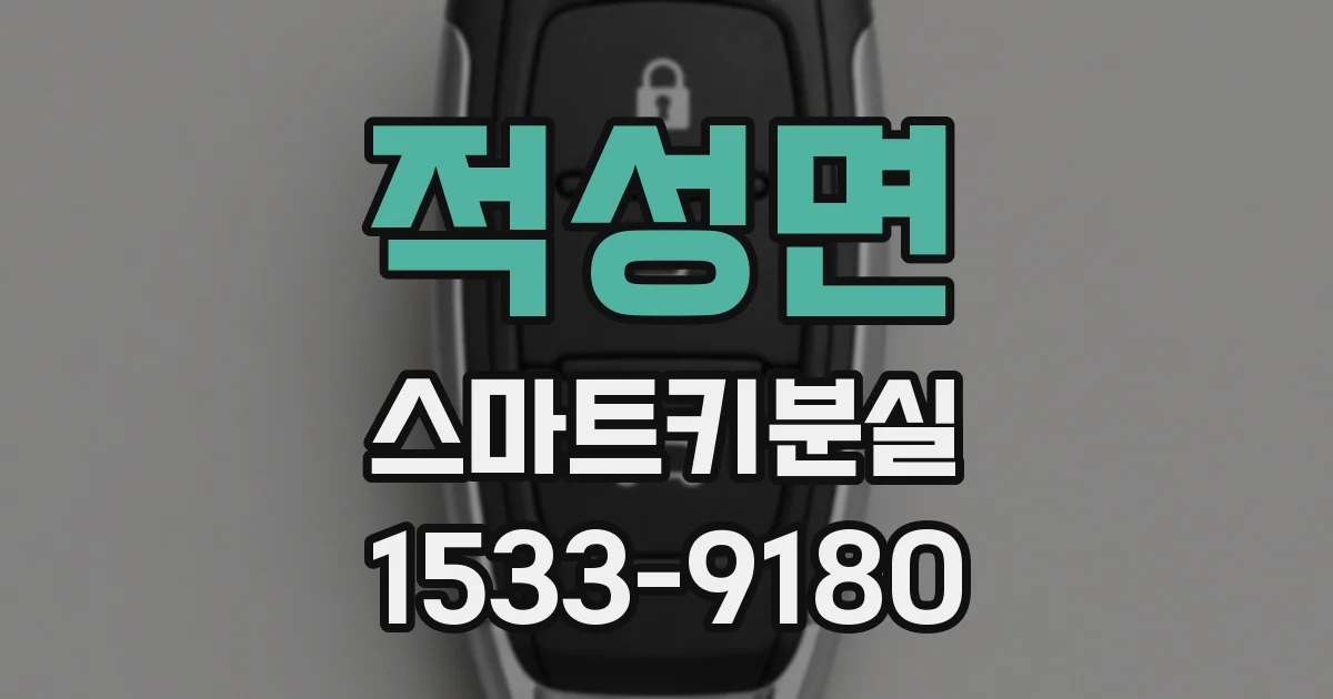 적성면 스마트키분실