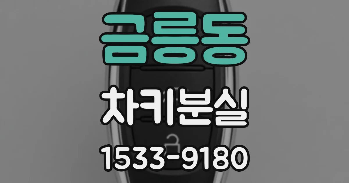 금릉동 차키분실