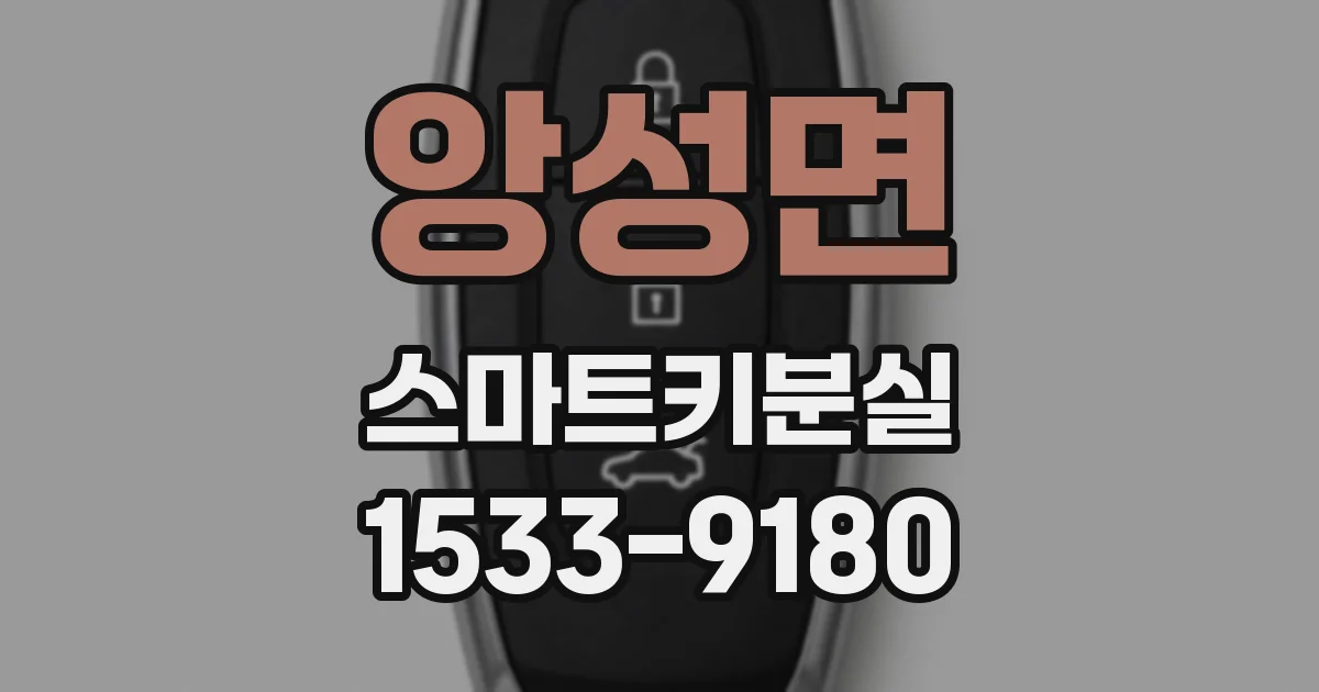 앙성면 스마트키분실