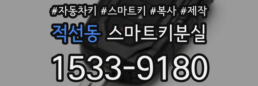 적선동 스마트키분실