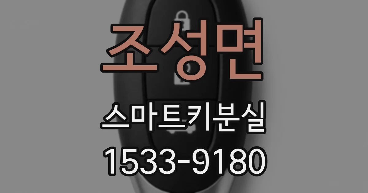 조성면 스마트키분실
