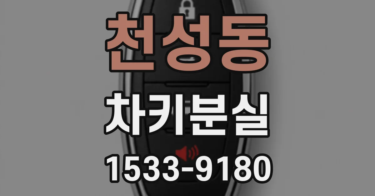 천성동 차키분실