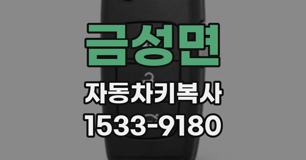금성면 자동차키복사