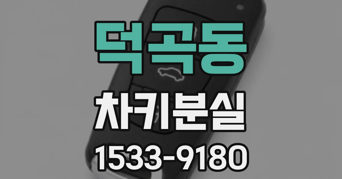 덕곡동 차키분실