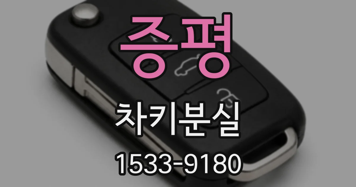 증평 차키분실