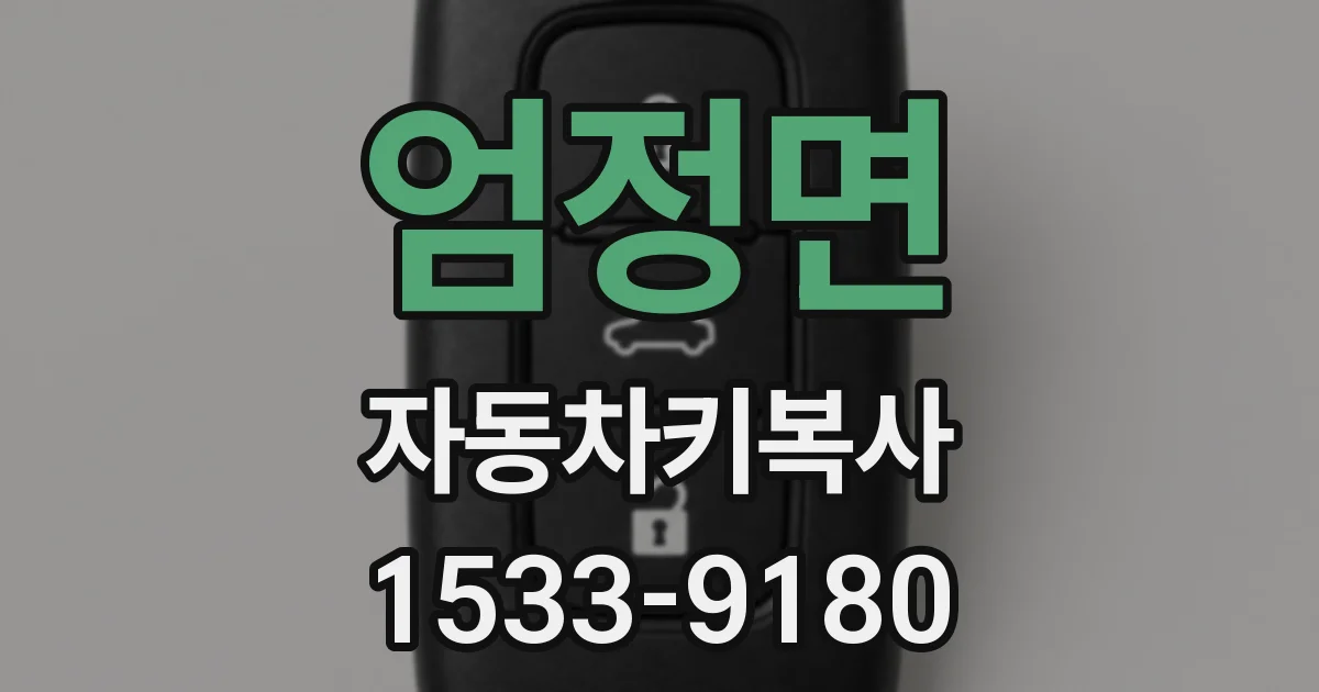 엄정면 자동차키복사