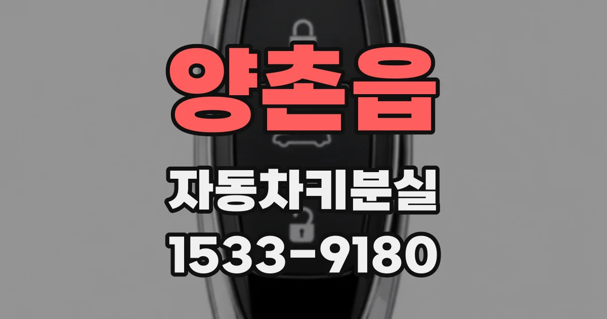 양촌읍 자동차키분실