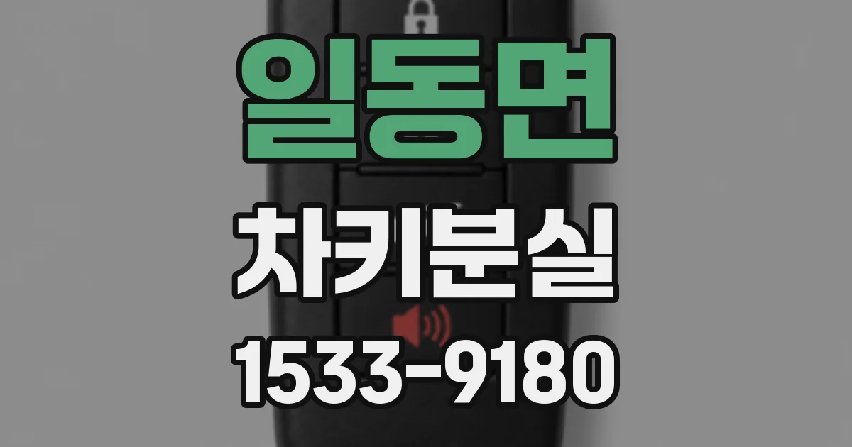 일동면 차키분실