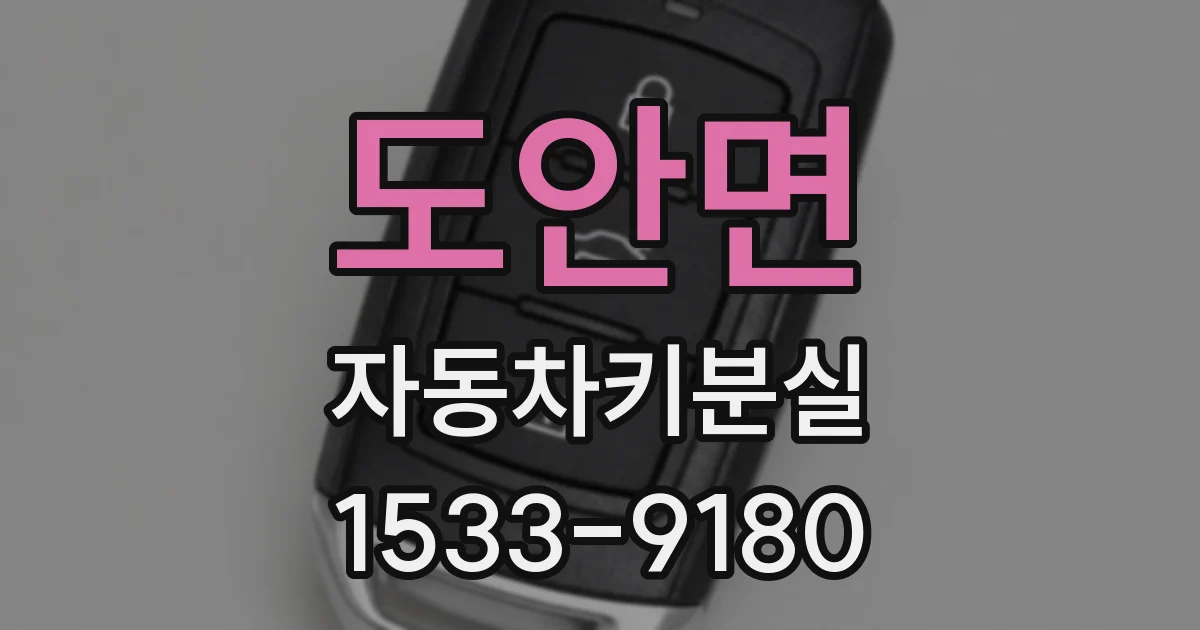 도안면 자동차키분실