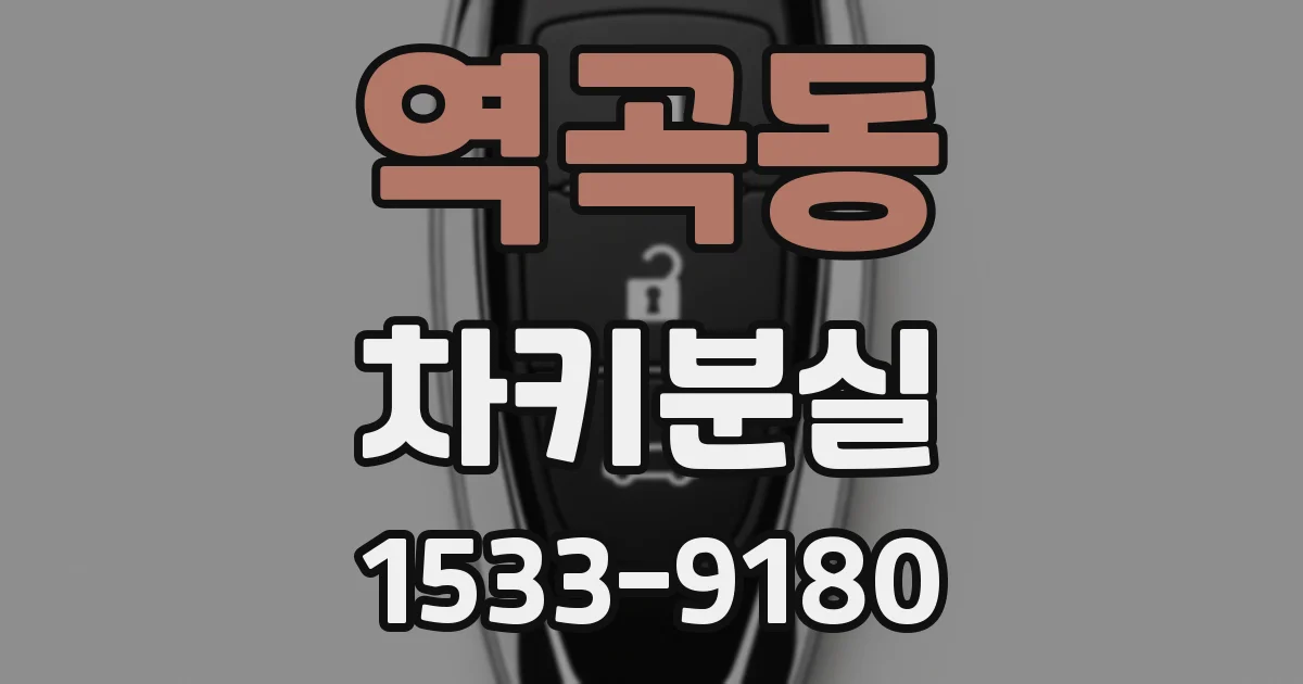 역곡동 차키분실