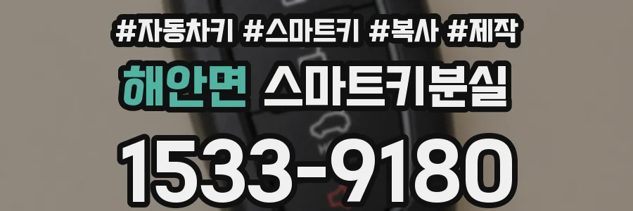 해안면 스마트키분실