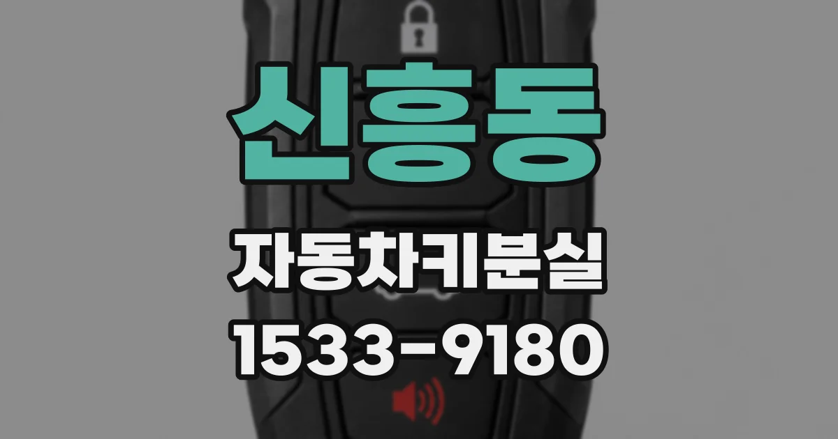 신흥동 자동차키분실