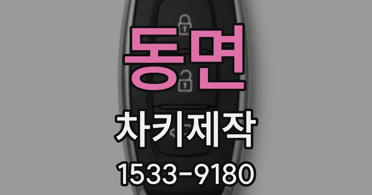 동면 차키제작