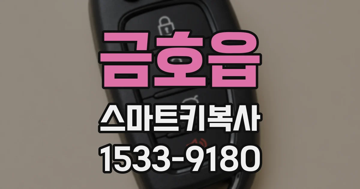 금호읍 스마트키복사