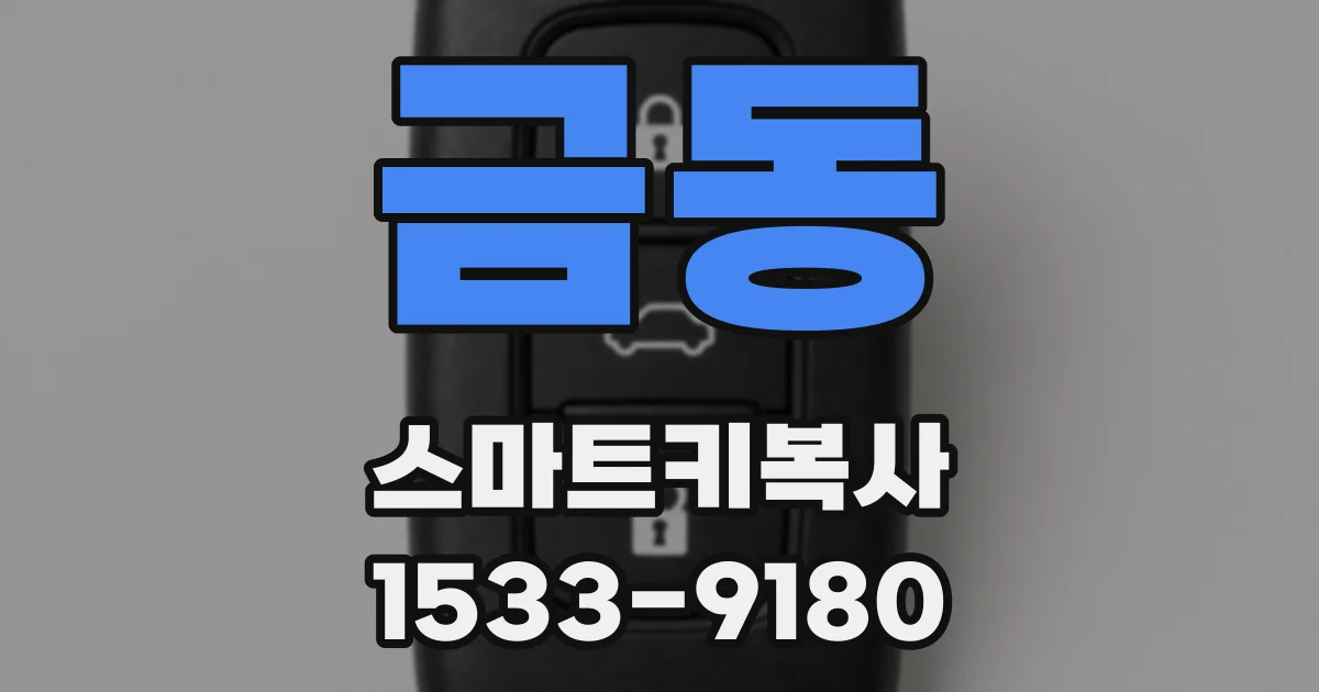 금동 스마트키복사