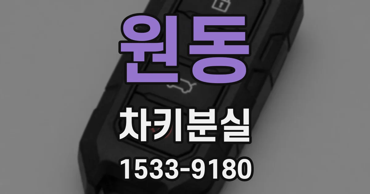 원동 차키분실