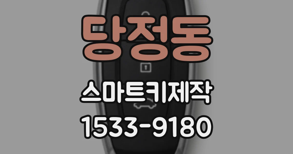 당정동 스마트키제작