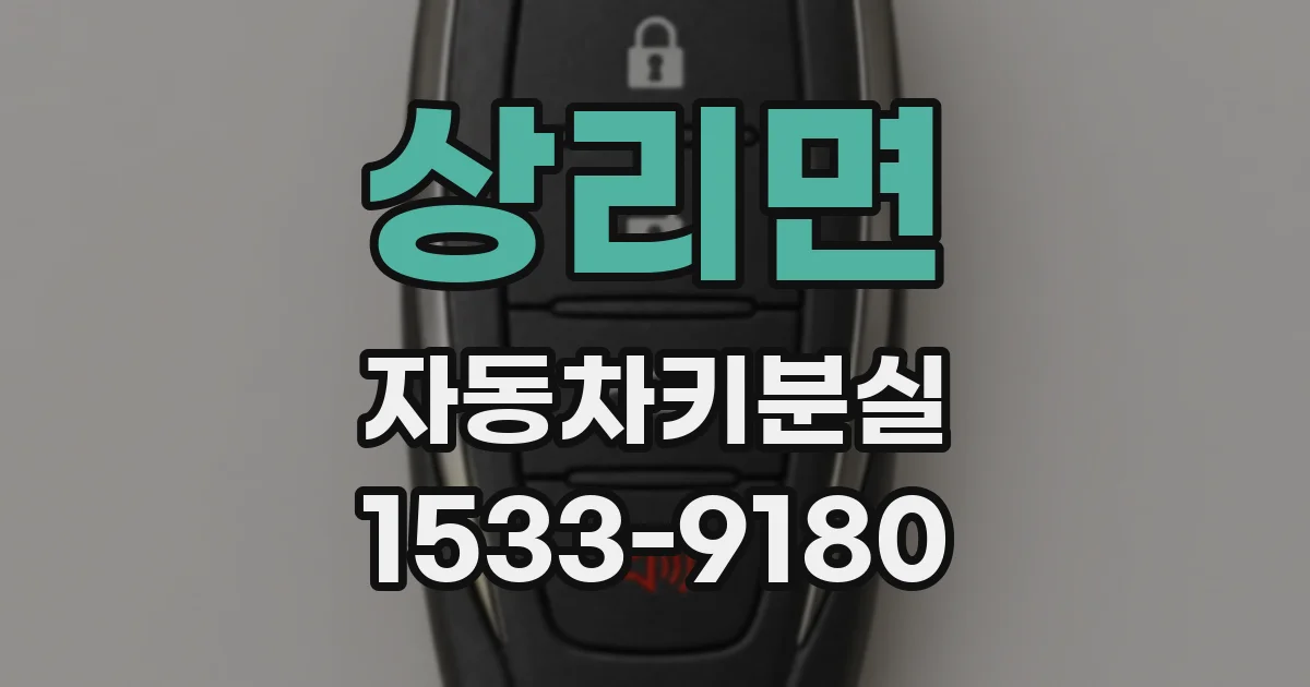 상리면 자동차키분실