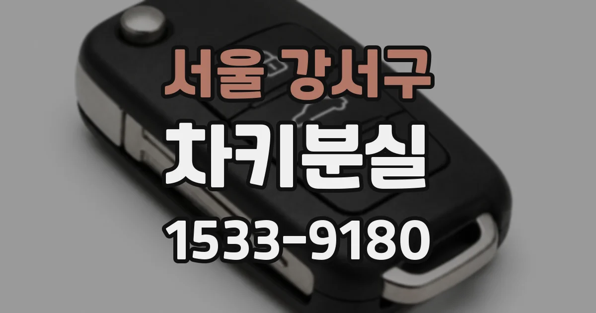 서울 강서구 차키분실