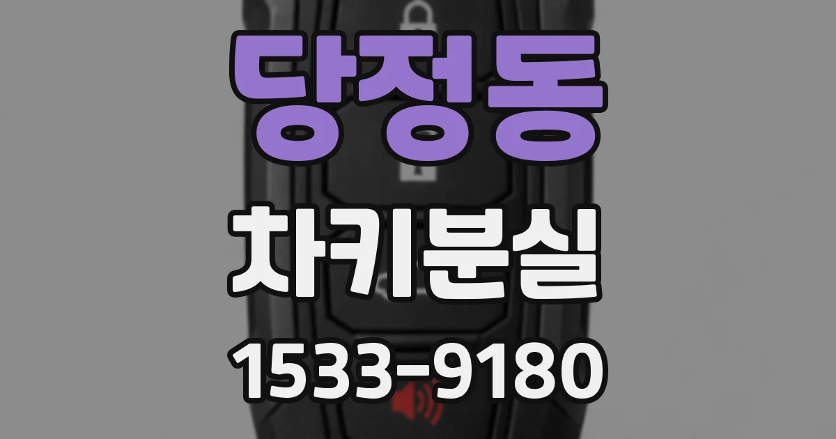 당정동 차키분실