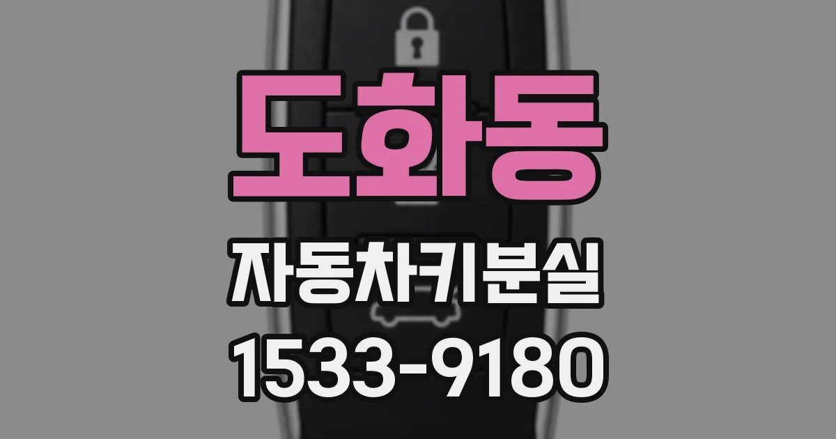 도화동 자동차키분실