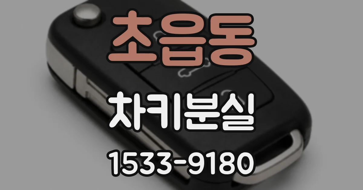 초읍동 차키분실