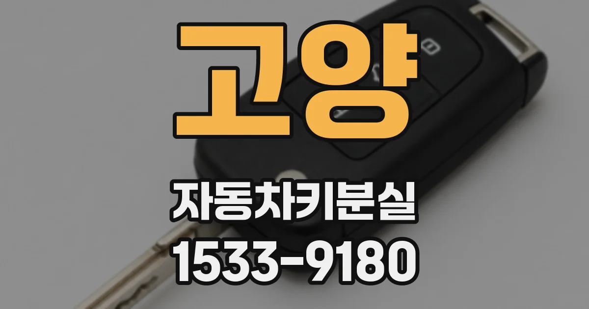 고양 자동차키분실