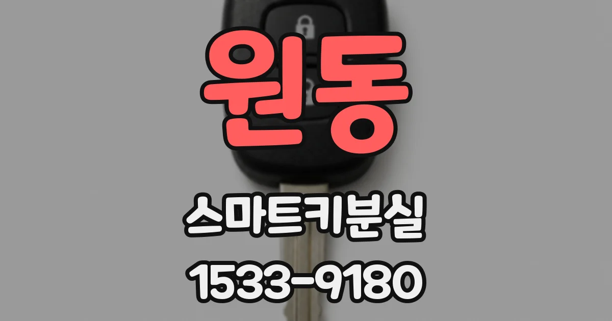 원동 스마트키분실