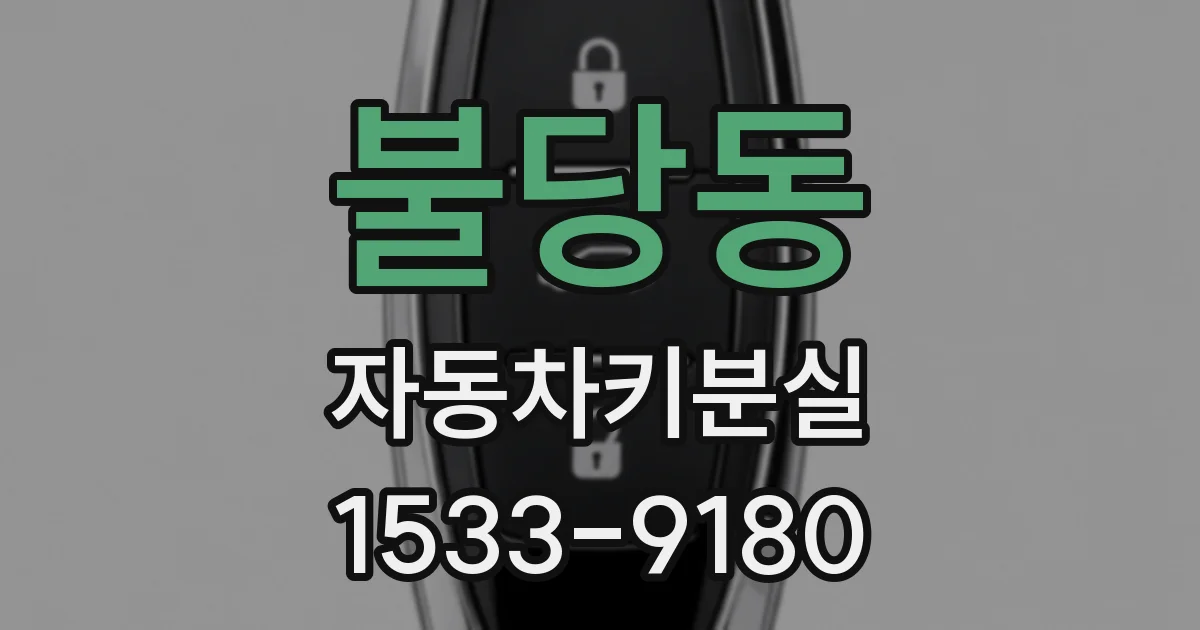 불당동 자동차키분실