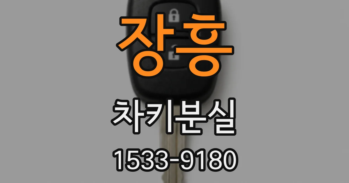 장흥 차키분실