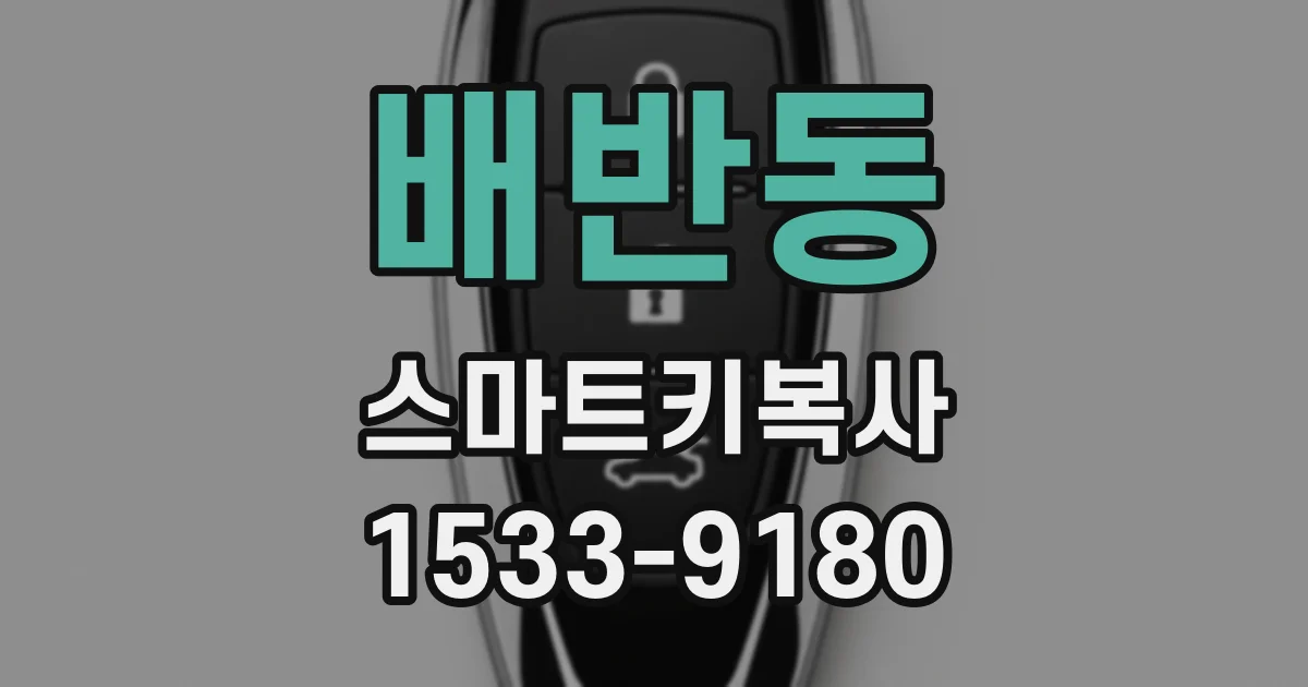 배반동 스마트키복사