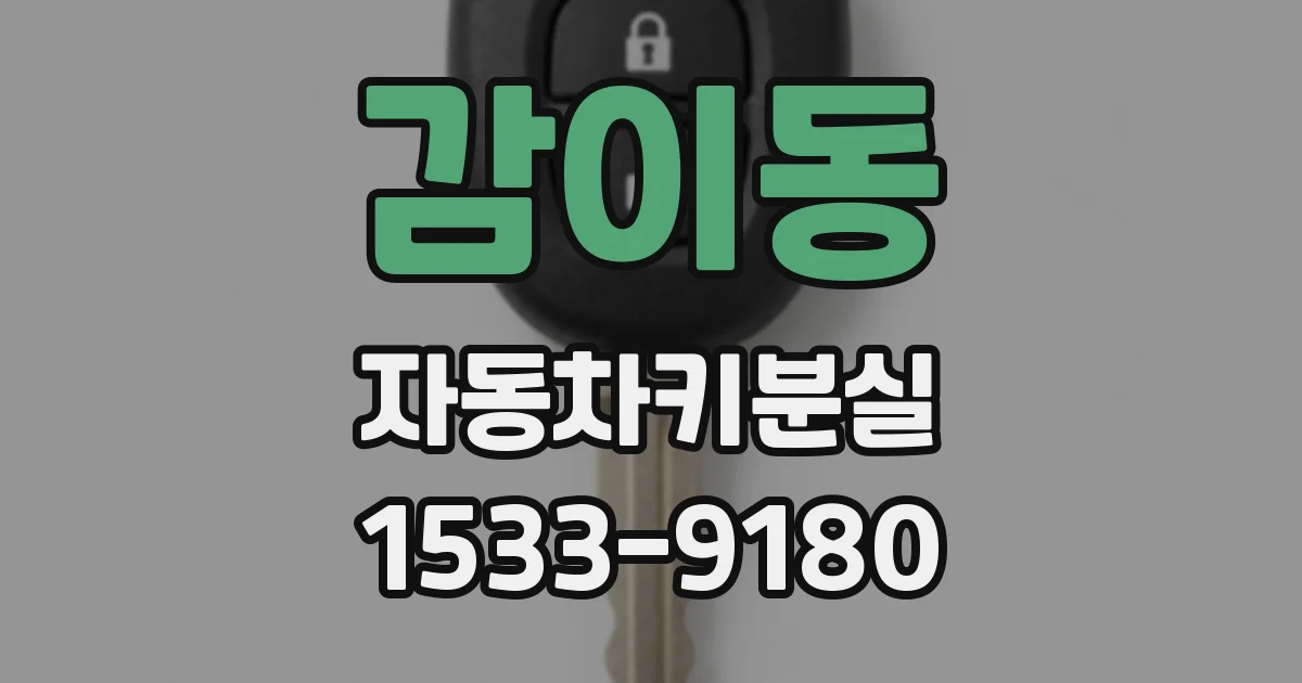 감이동 자동차키분실