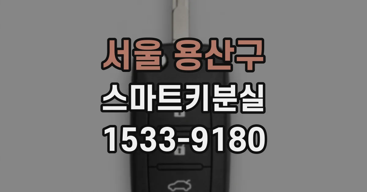 서울 용산구 스마트키분실