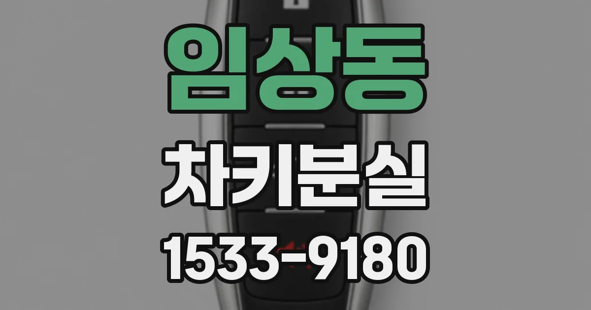 임상동 차키분실