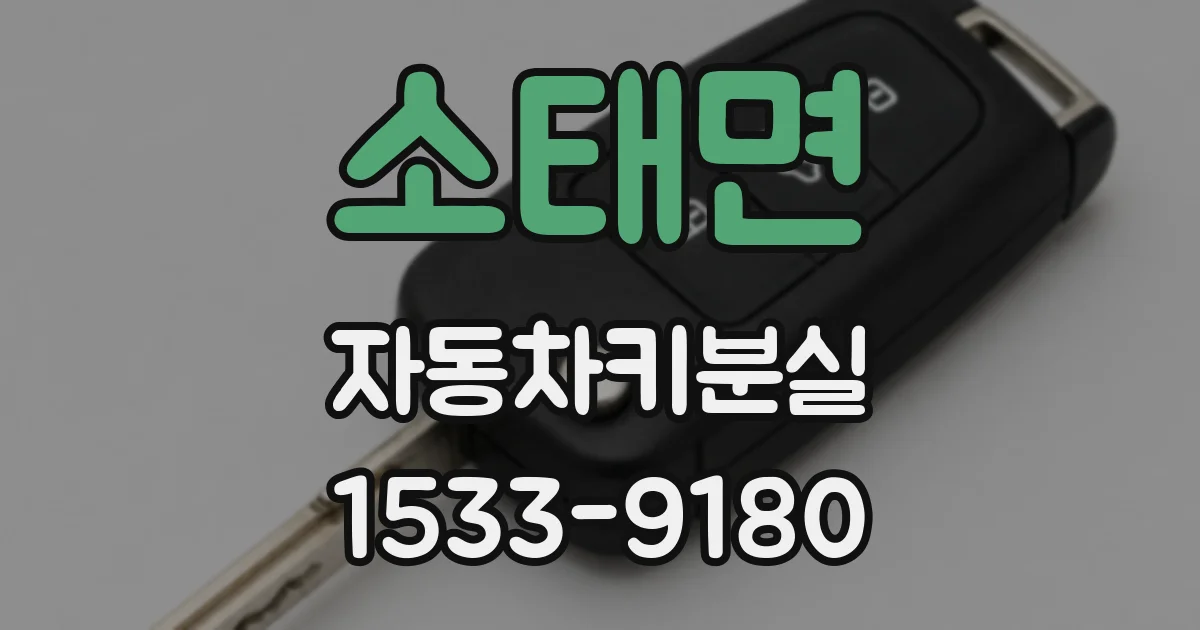 소태면 자동차키분실