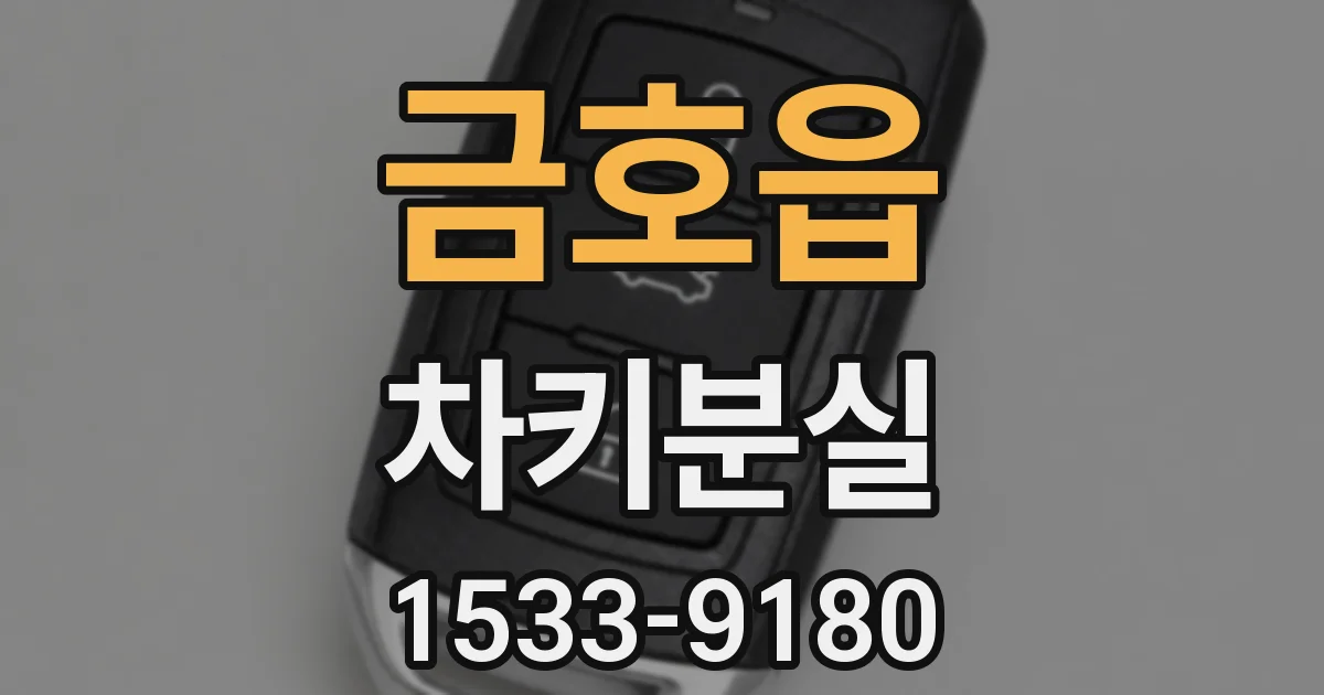 금호읍 차키분실