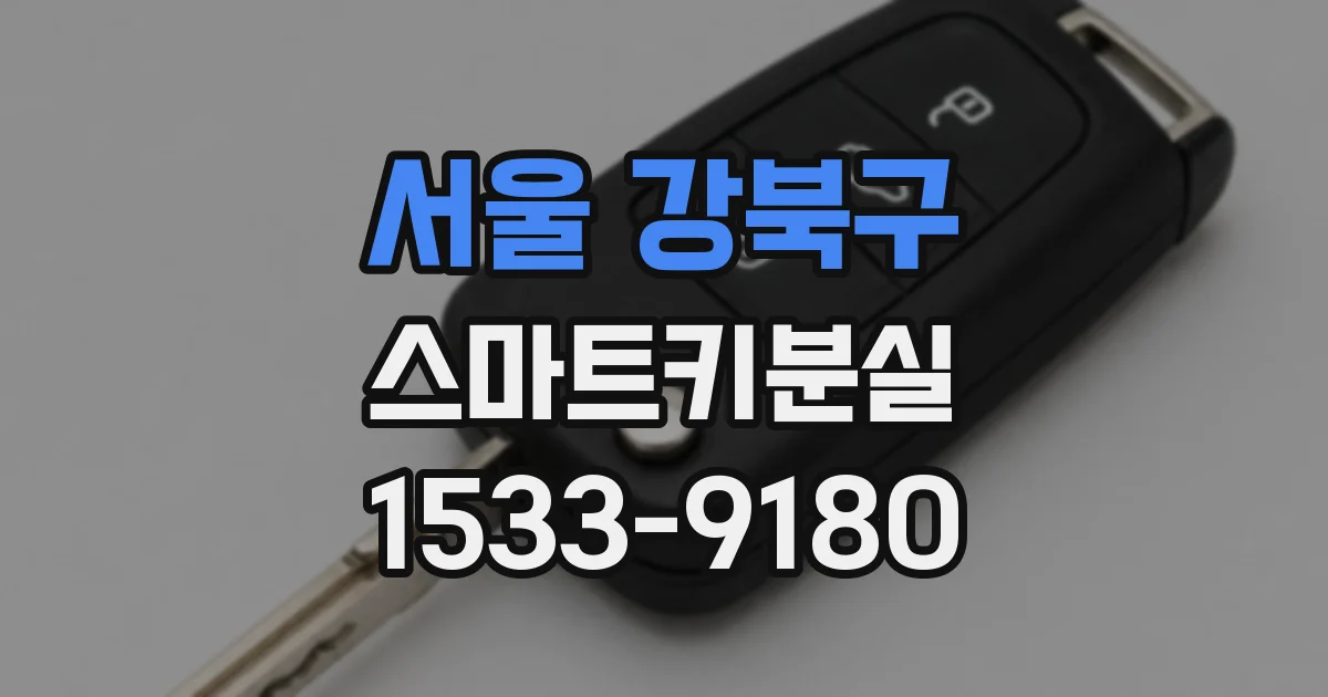 서울 강북구 스마트키분실
