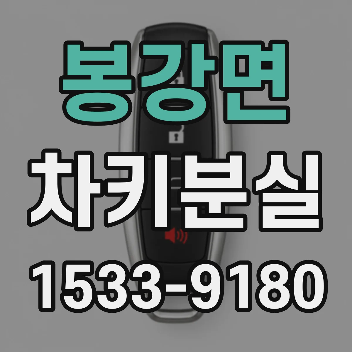 봉강면 차키분실