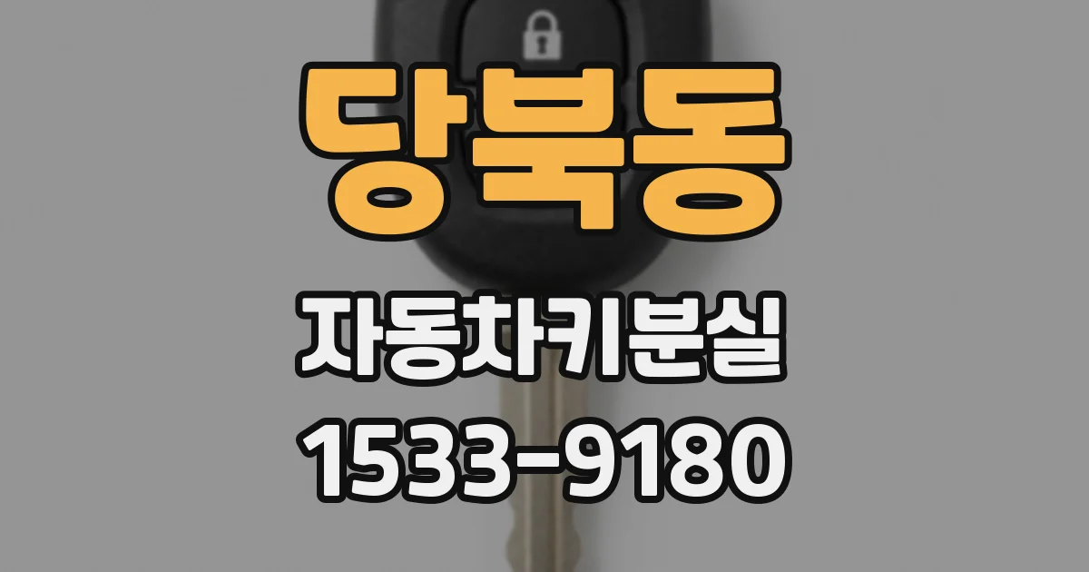 당북동 자동차키분실