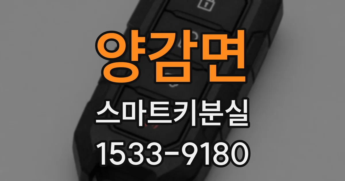 양감면 스마트키분실