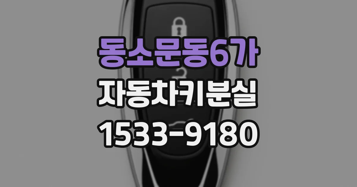 동소문동6가 자동차키분실