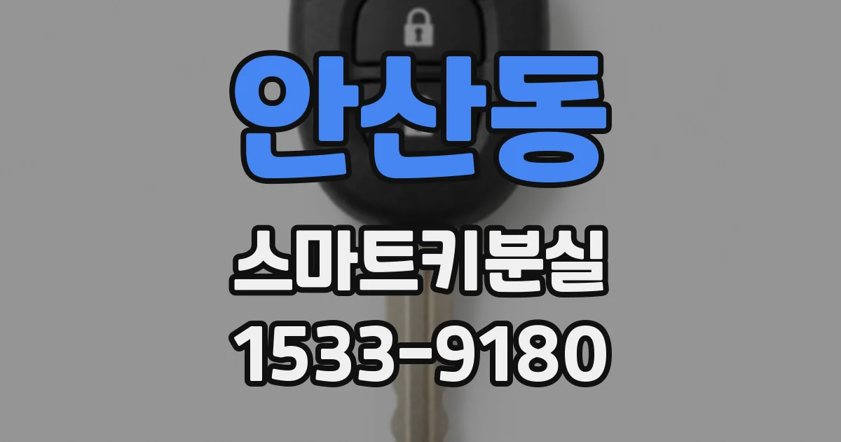 안산동 스마트키분실
