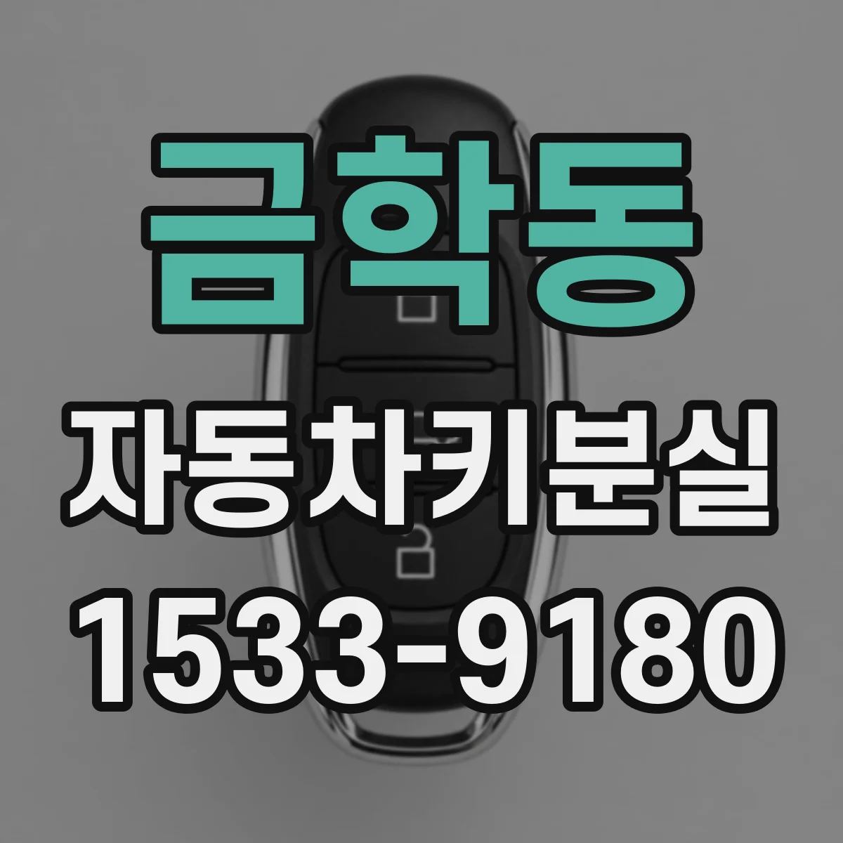 금학동 자동차키분실